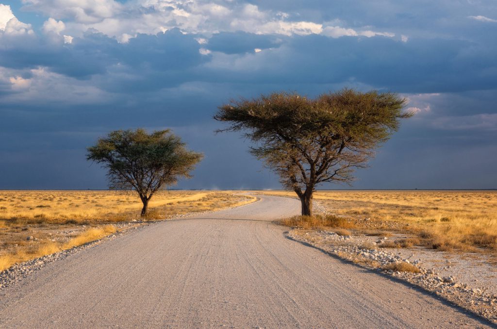 Landscapes